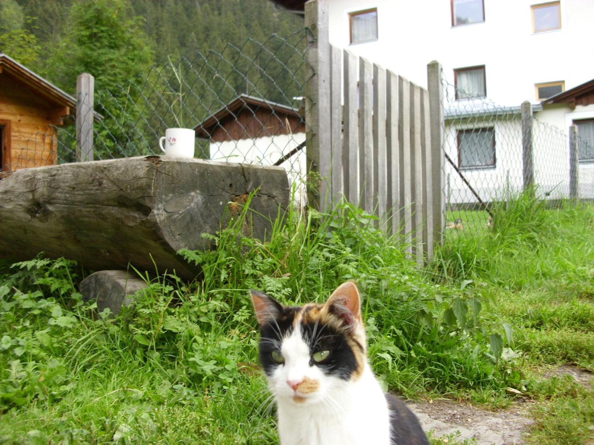 Apartments Seerhof Kaunertal Luaran gambar